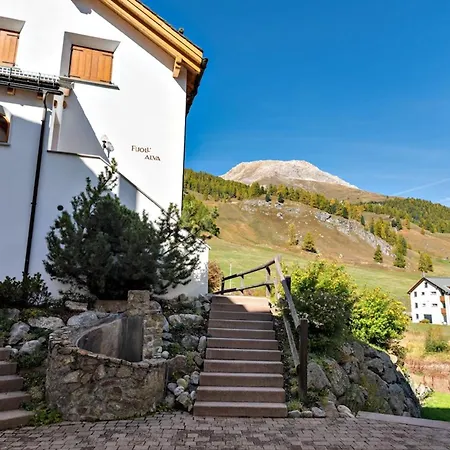 Chesa Fuolla Rosa - Celerina Apartamento *